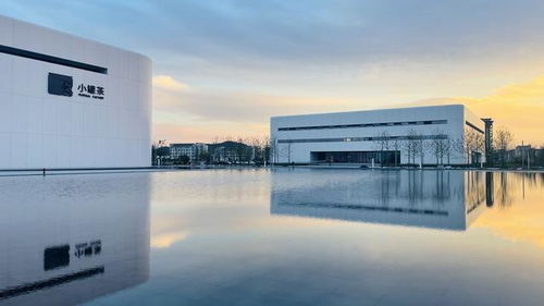 跨越時空的茶 文化名片走向世界 助力鄉村振興與項目經營