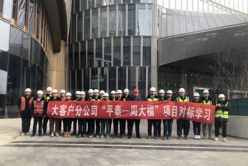 冬日里的活力交響 項目運營中的學習、演練與迎檢熱潮